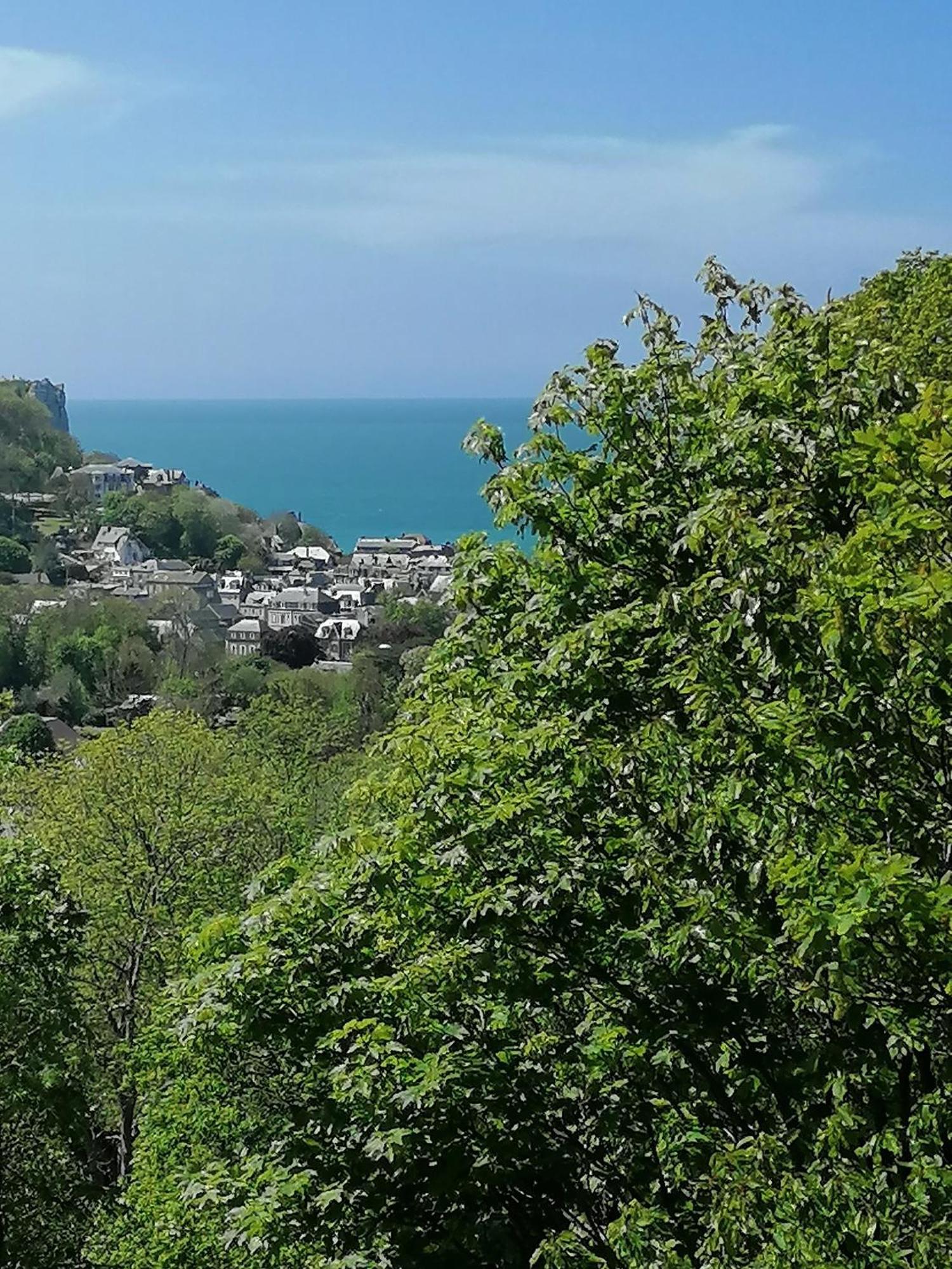 Sherwood Tree Etretat Luaran gambar